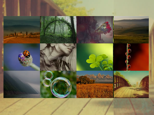 Multi Style jQuery images gallery
