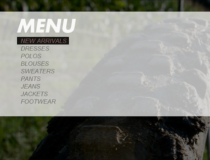 Nice "Flashy" menu with Jquery.