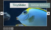 Slideshow Script – TinySlider