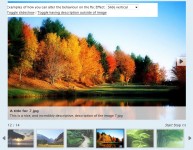 AD Gallery,Multiple Toggle slideshow plugin for jQuery