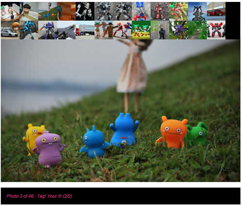 jQuery Flickr Photo Gallery Plug