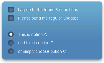 Fancy checkboxes and radio buttons with jquery