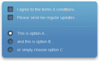 Fancy checkboxes and radio buttons with jquery