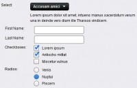 beautiful Radio, check button with Forms