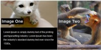 slide images header feature with jQuery 