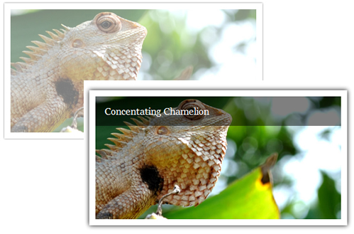 simple CSS3 Slick Animated Image Caption