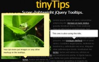 TinyTips 1.1-------Pretty Lightweight Tooltips Plugin